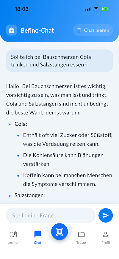 Befino Chat-Ansicht